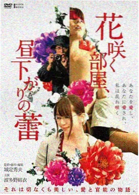 纪录片